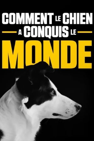 Comment le chien a conquis le monde's poster