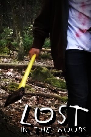 Lost In The Woods's poster