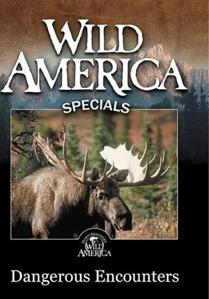 Wild America - Dangerous Encounters's poster