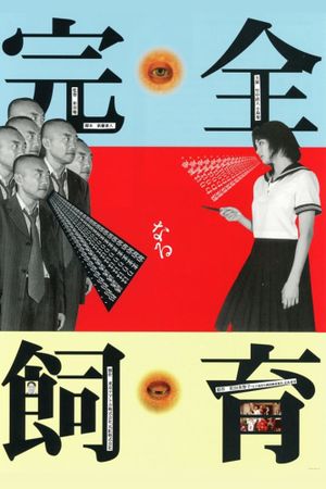 The Perfect Education's poster