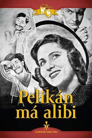 Pelikán má alibi's poster