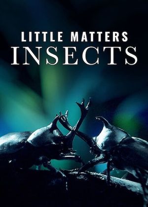 Little Matters: Insects's poster image