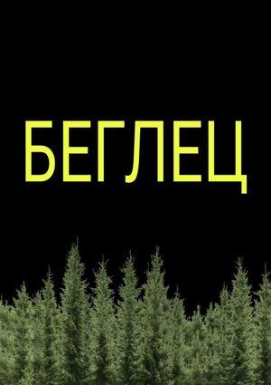 Stranger in the bush's poster