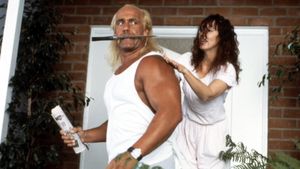 Suburban Commando's poster