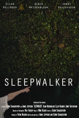 Sleepwalker's poster
