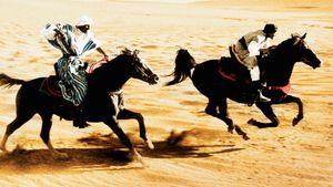The Black Stallion Returns's poster
