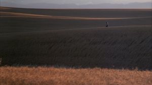 Days of Heaven's poster