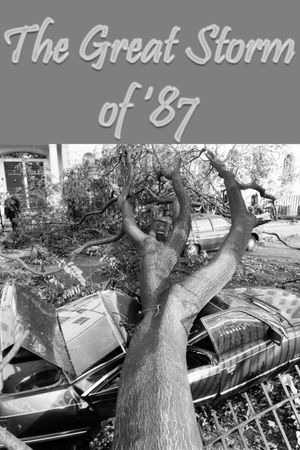 The Great Storm of '87's poster
