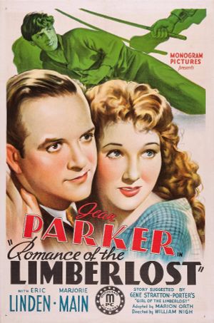 Romance of the Limberlost's poster