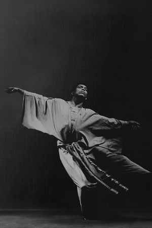 Ailey's poster