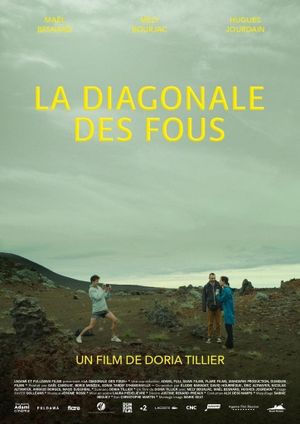 La diagonale des fous's poster