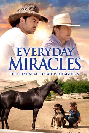 Everyday Miracles's poster