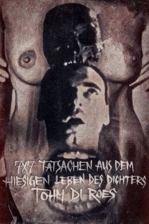 7 x 7 Tatsachen aus dem hiesigen Leben des Dichters Tohm di Roes's poster