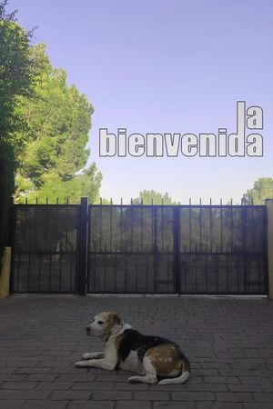 La bienvenida's poster image