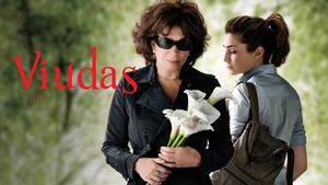 Widows's poster