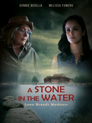 A Stone in the Water's poster