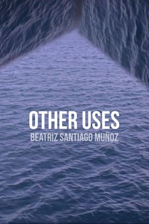 Otros Usos's poster