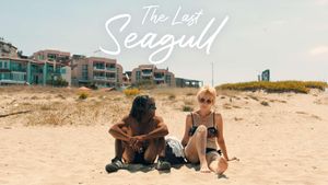 The Last Seagull's poster