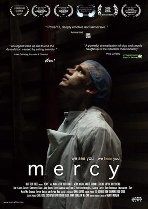 Mercy's poster