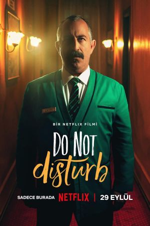 Do Not Disturb's poster