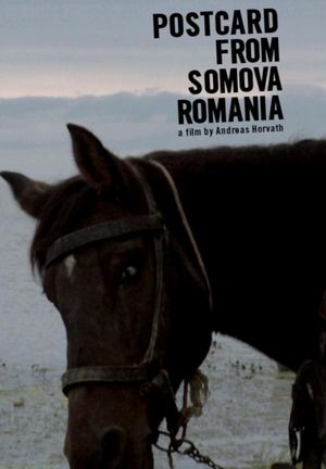 Postcard from Somova, Romania's poster