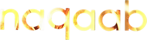 Naqaab's poster
