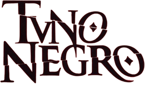 Tuno negro's poster