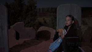 The Searchers's poster
