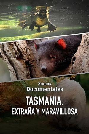 Tasmania: Weird and Wonderful's poster