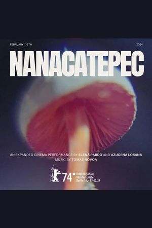 Nanacatepec's poster