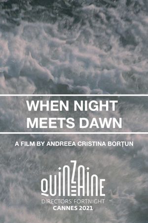 When Night Meets Dawn's poster