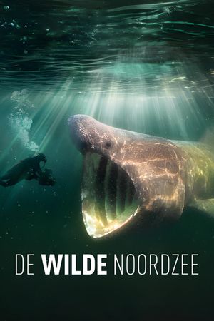 De wilde Noordzee's poster