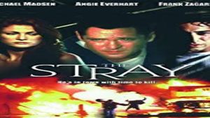 The Stray's poster