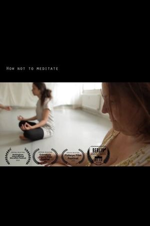 How Not To Meditate's poster