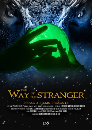 The Way of the Stranger's poster