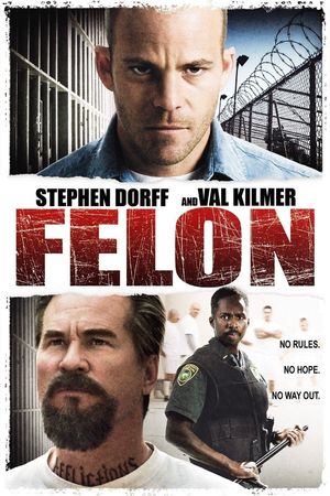 Felon's poster