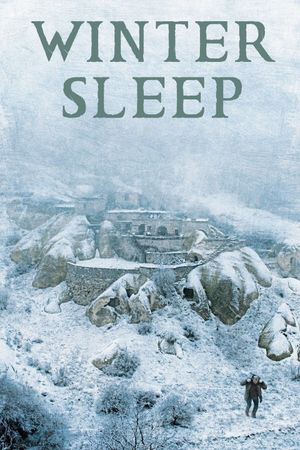 Winter Sleep's poster