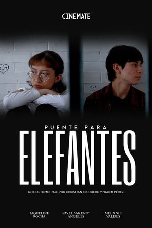 Puente Para Elefantes's poster