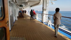 The Last Cruise's poster