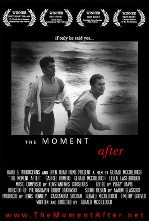 The Moment After's poster