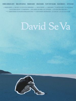 David Se Va's poster