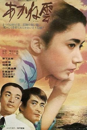 Clouds at Sunset's poster