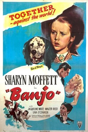 Banjo's poster