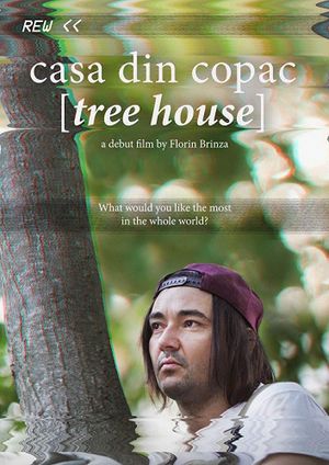 Casa din copac's poster