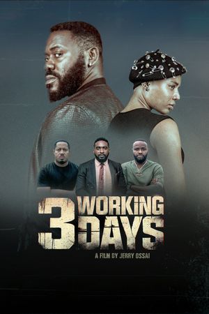3 Working Days's poster