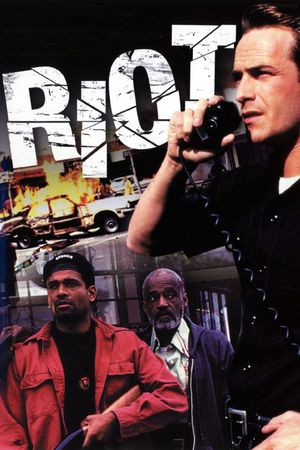 Riot's poster
