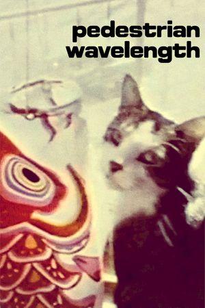 Pedestrian Wavelength's poster