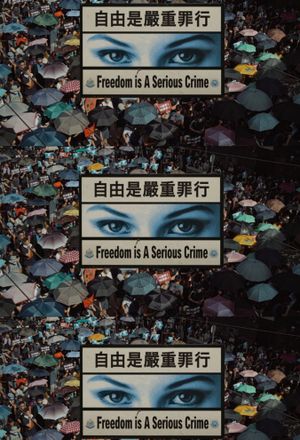 Freedom Is A Serious Crime's poster