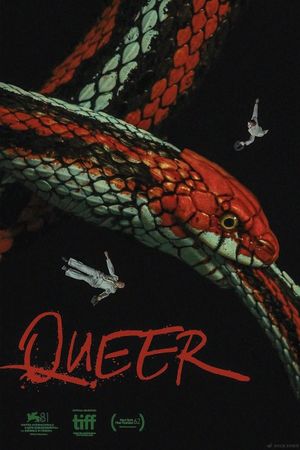 Queer's poster