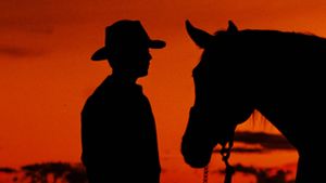 The Man from Snowy River's poster